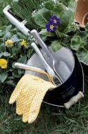 Prune and protect plants as a top garden task in February
    