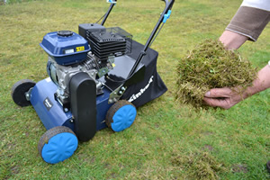 Scarifying will tease out huge amounts of moss and dead grass