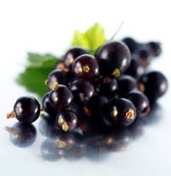 Keep blackcurrant bushes healthy with a good pruning
    