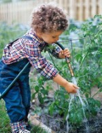 Young gardeners celebrated in Wales
    