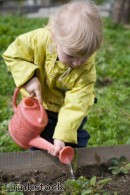 Get your children involved in the garden over summer
    