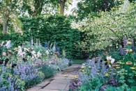 Designer creates garden to challenge ageism
    