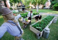 Tatton Park Flower Show gives allotment ideas
    
