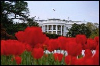 US government shutdown leaves White House garden in dumps
    