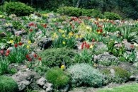 Sheffield Botanical Gardens to host new show
    