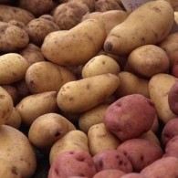 How to grow potatoes
    