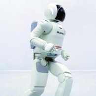 Could ASIMO pave the way for robot gardeners?
    