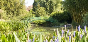 The Gardens at Giverny - Well worth the Monet! 