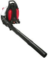 Low priced backpack blower for spring clean-up