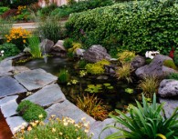 Water features 'can look spectacular in a garden'