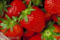 Pruning 'can help strawberries grow'