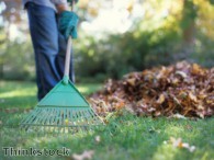 Protect plants in winter 'by mulching'
