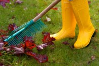 Wind and rain 'should not put gardeners off'