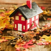 Top garden tasks for October: Leaf clearance and lawn care