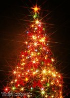 Faversham festival celebrates Christmas trees