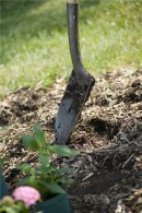 Mulching to protect your soil