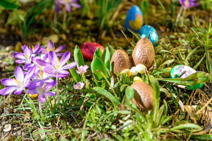 Chocolate Easter eggs in a garden