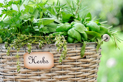 basket with herbs