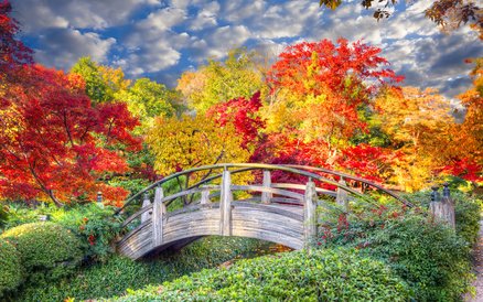 A Japanese Garden In The USA... what else?