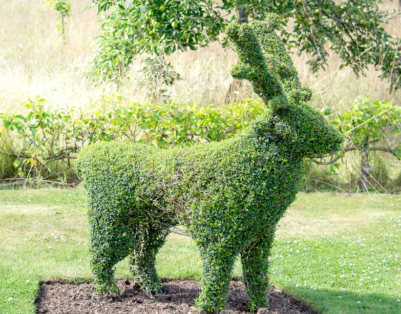 Green deer frame topiary in a spring garden