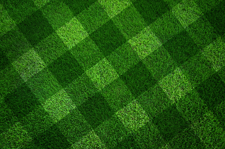 Green grass texture background And the line cut