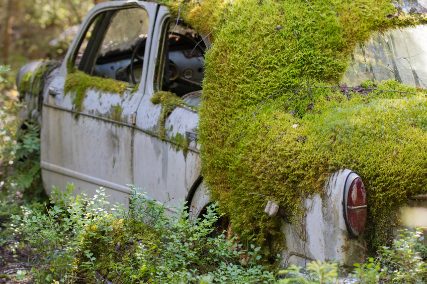 old car overgrown with moss