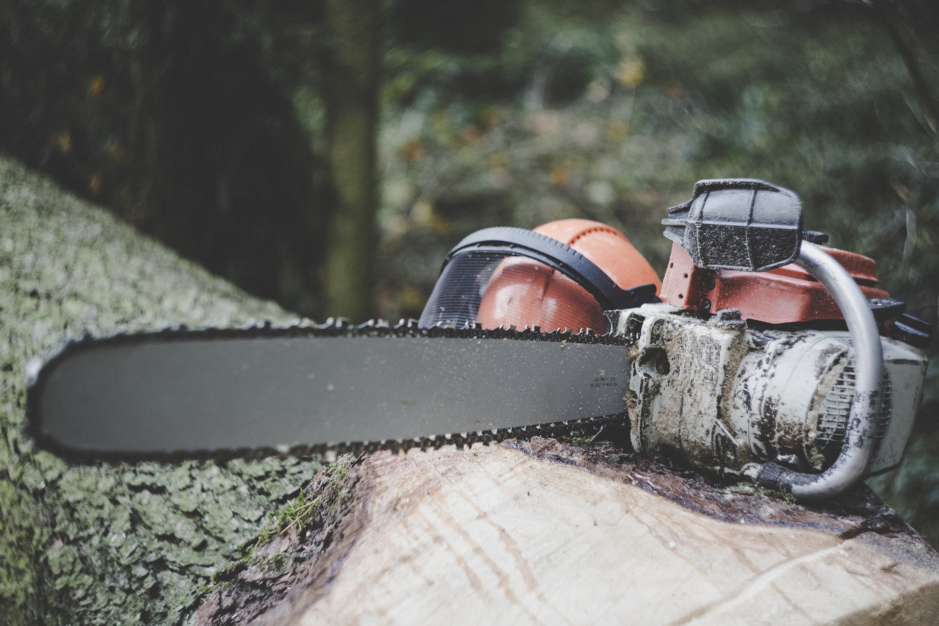 Preventing injuries by using a chainsaw
