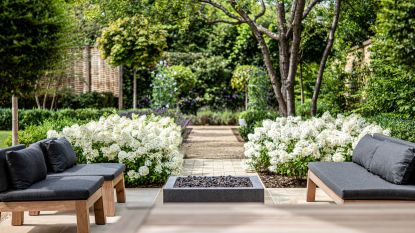 A large garden with comfy seating in front of beds of white roses.