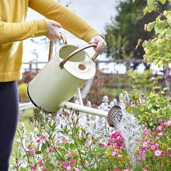A watering can being used across a flowerbed.