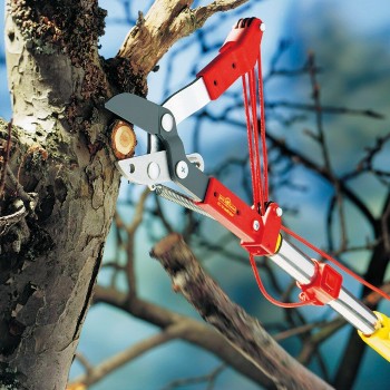 Manual loppers in action cutting-back a branch.