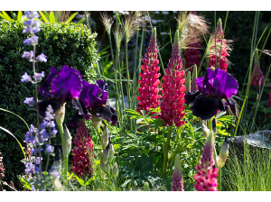 A stunning, multi-coloured floral arrangement.