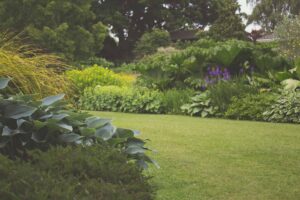 Lawn-Care Tips for Summer