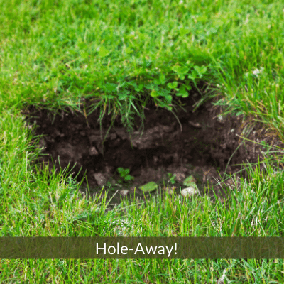 Don't lets turf holes be your lawn problems!